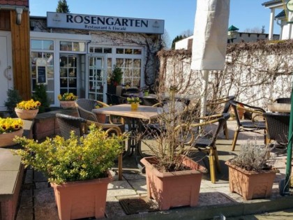 照片: Rosengarten Altenweddingen 